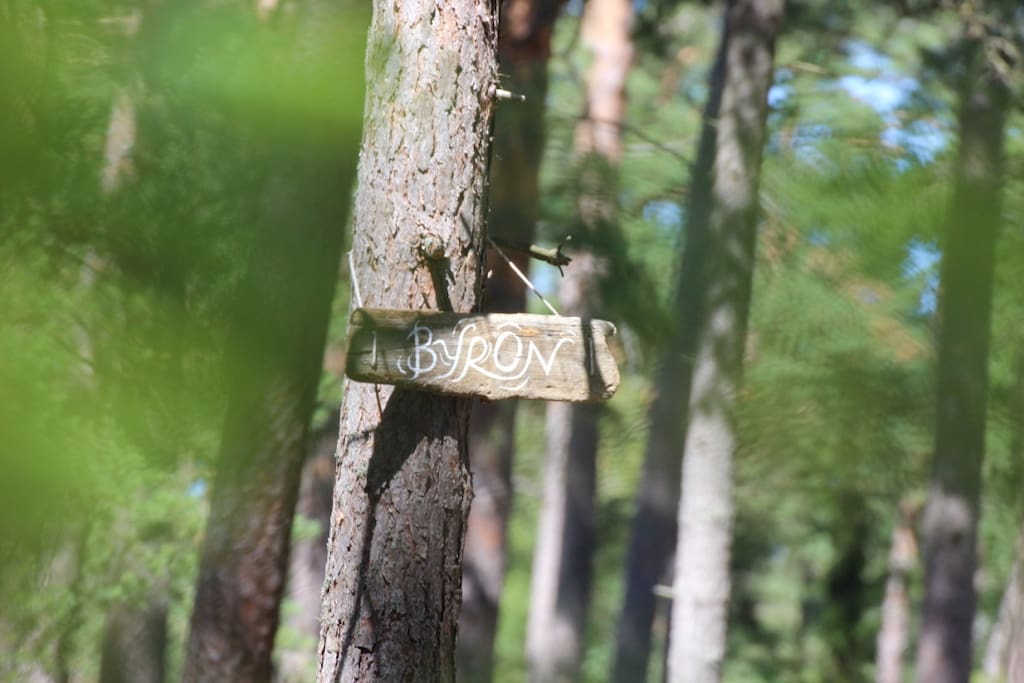 The sign you should look for to find this place;)