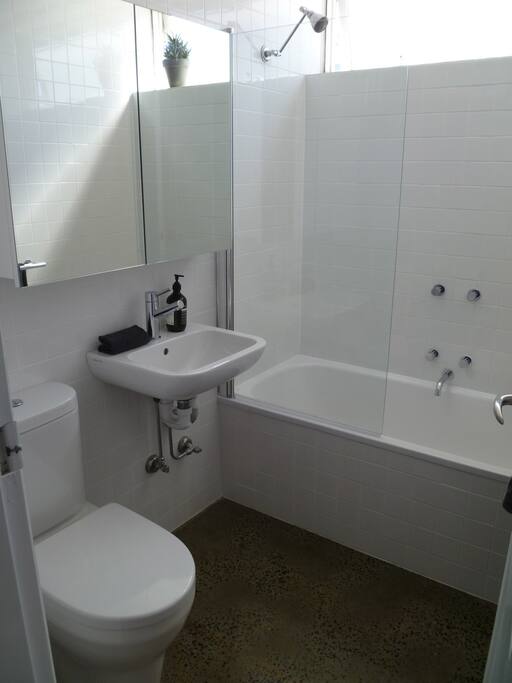 Bathroom features shower over bath