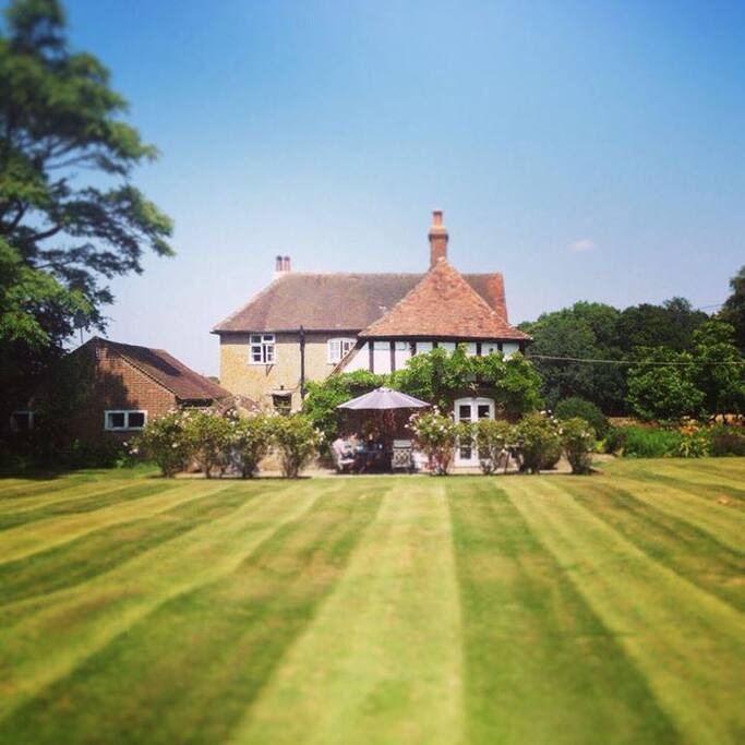 The Main Lawn