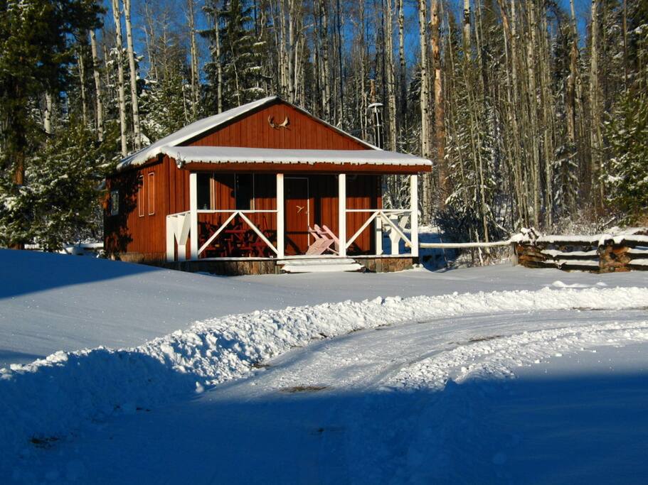 Winter