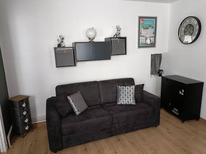 Charmant Studio Place Saint Pierre - Saumur