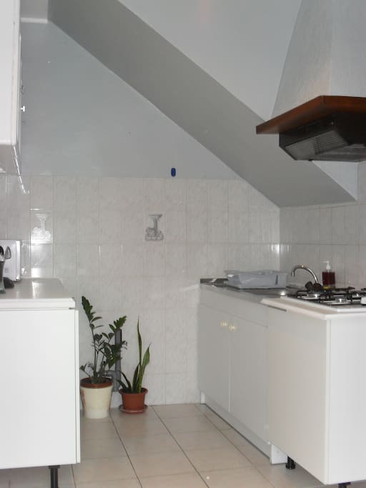 Kitchenette aménagée avec micro-ondes et plaque de cuisson.