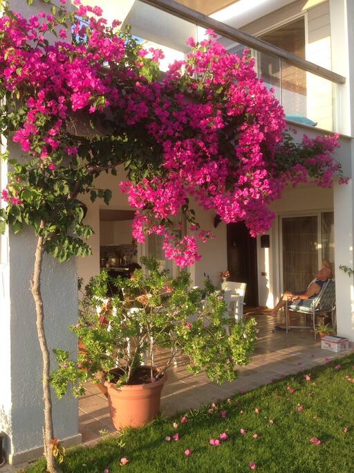 Daire ve Veranda
