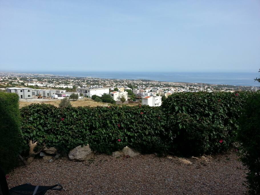 Terrace view