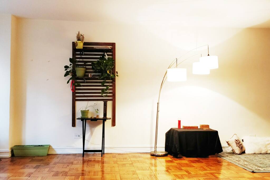 Living Room with Modern Tri- head lamp and beautiful Furnishings