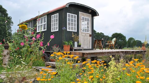 Wooden Caravan beside Northwest-Landscape