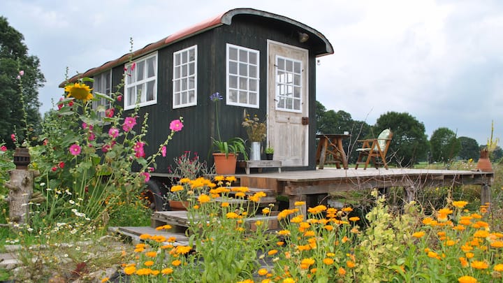 Wooden Caravan beside Northwest-Landscape