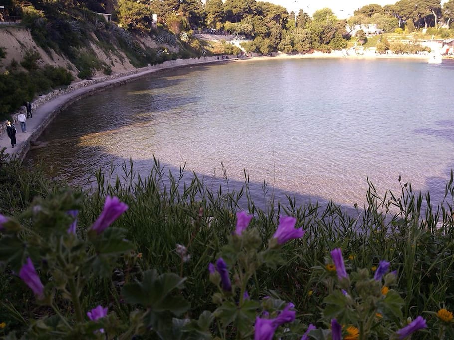 Beach behind house 500m(Firule beach)-sandy-