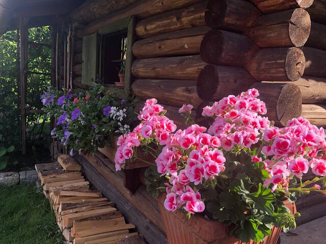 Gästehaus Moid'l - Zimmer "Hochetz" (2 Personen)