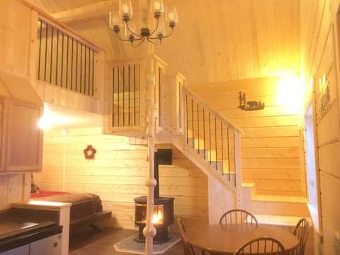 Bearberry Lodge - Custom cabin in Tok, Alaska
