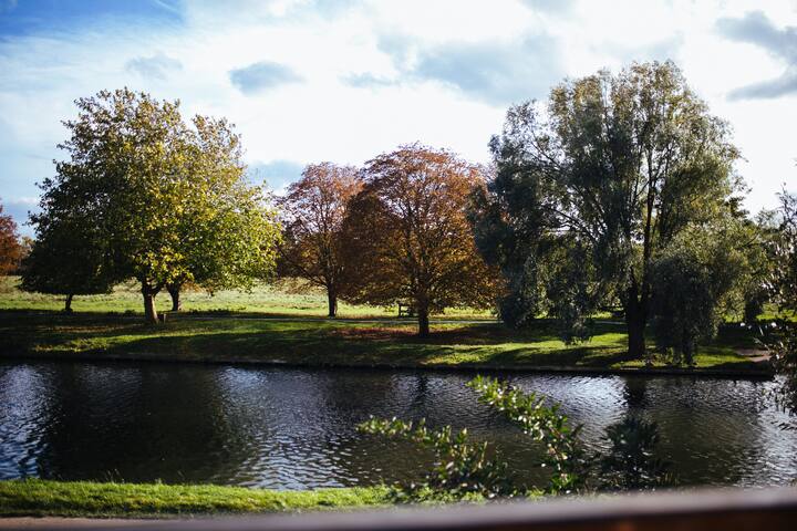 The room with a view
