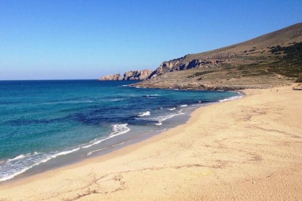 Beach View