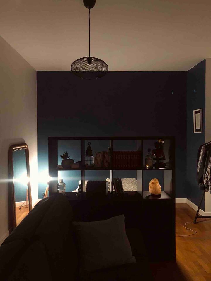 Studio Plein Centre Dijon Condominiums For Rent In Dijon Bourgogne Franche Comte France