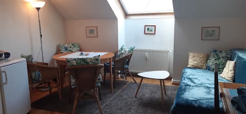 Top Airbnb: Cozy Bib'n'Tom attic apartment in Gries
