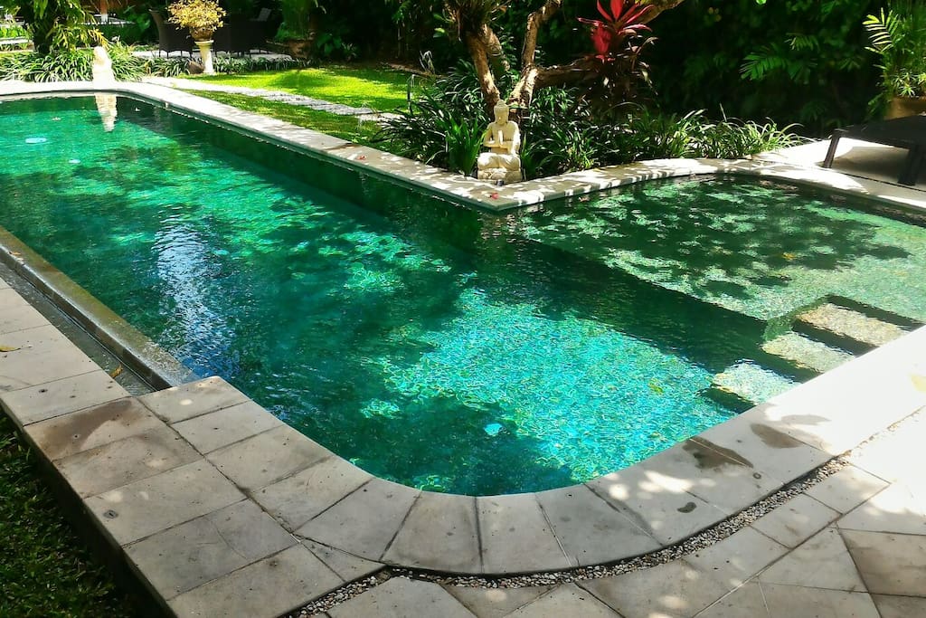 The Pool at Villa 1