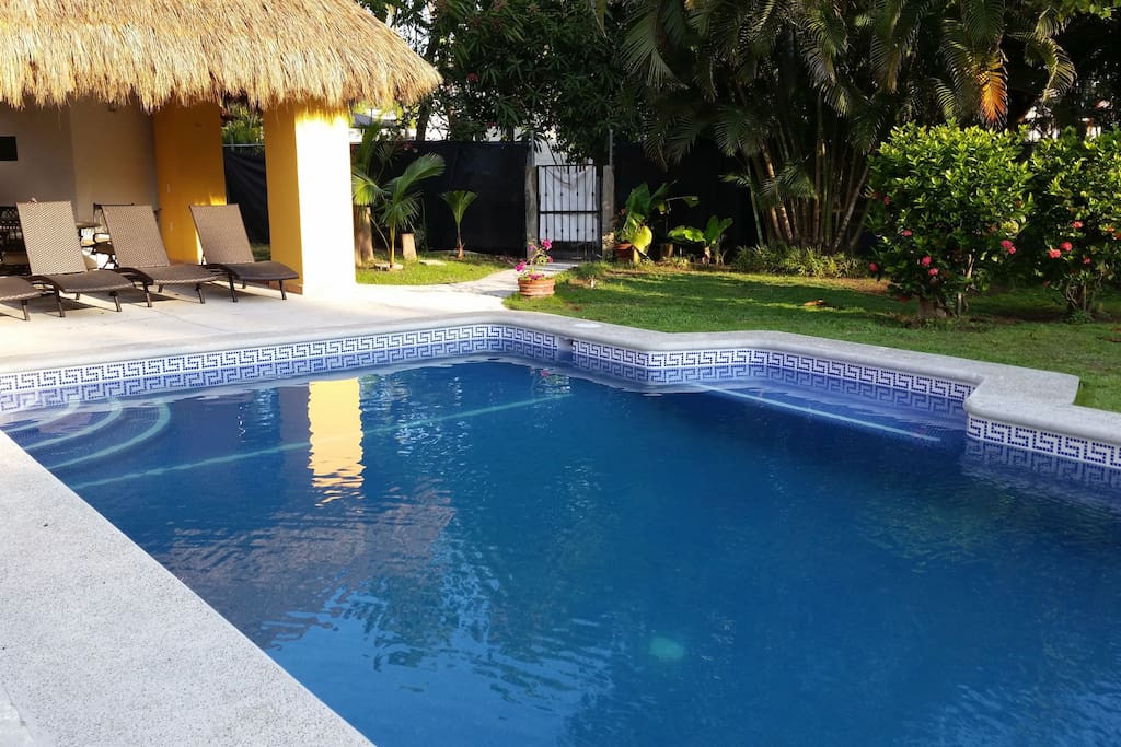 Pool and Palapa