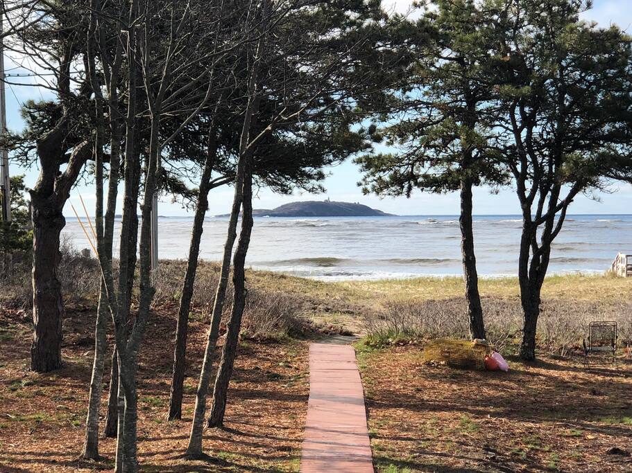 The view to the beach