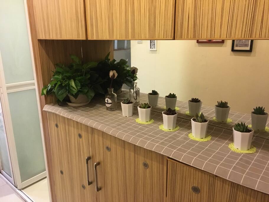 植物下面鞋柜放有四双拖鞋更换。