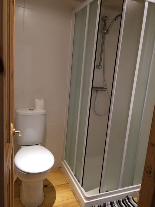 Private bathroom area for use just by you. This includes toilet, shower and small basin.