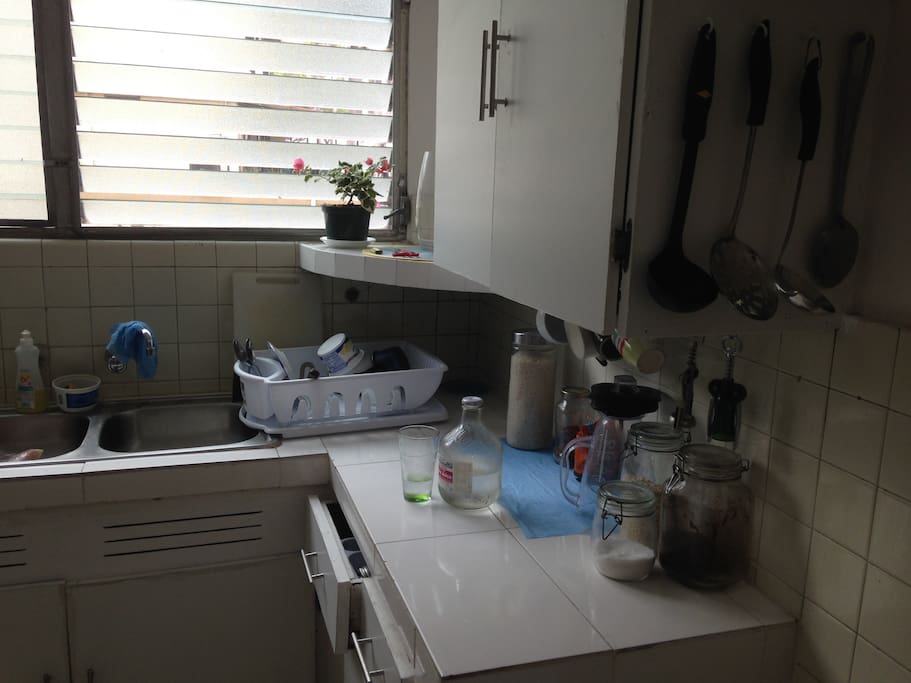 The kitchen