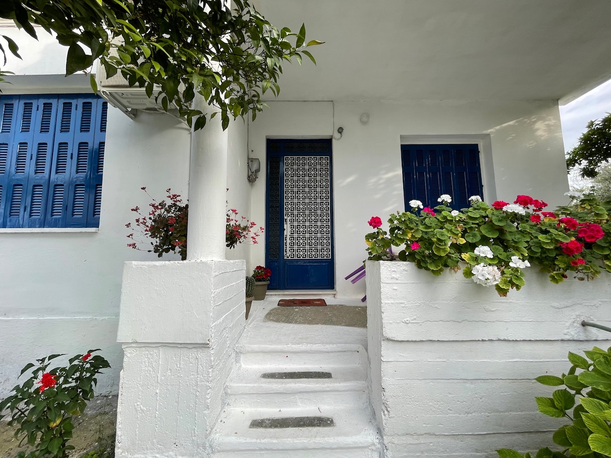The entrance to the house features a set of three stone steps leading to a blue door, surrounded by vibrant flowers in window boxes and a potted plant. Natural light filters through the decorative screen, enhancing the welcoming atmosphere.