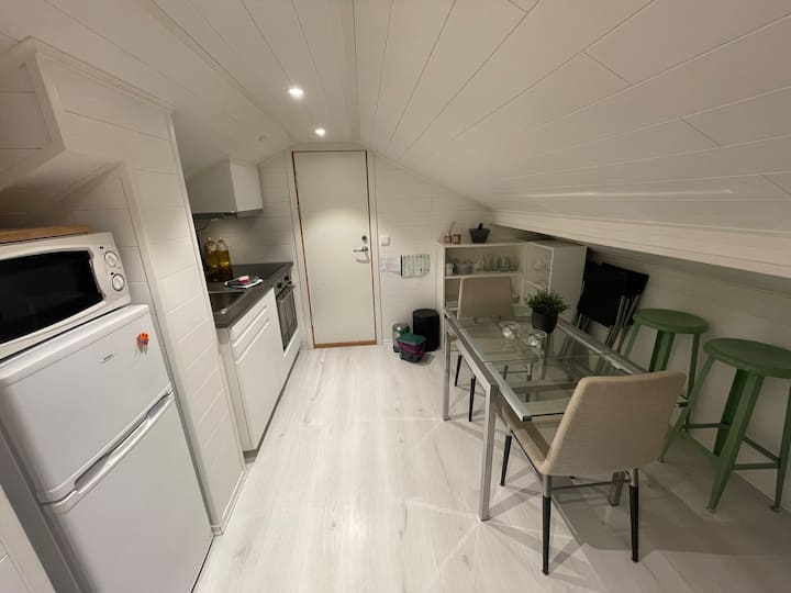 Loft studio at Grefsen/Kjelsås in Oslo