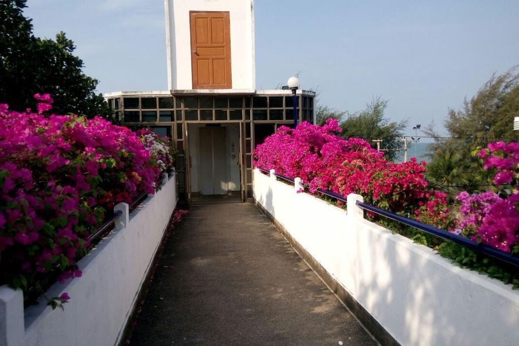 Elevator to the beach