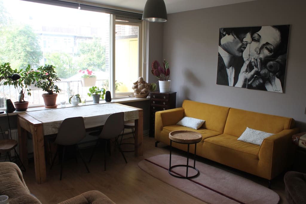 Big living room with plants