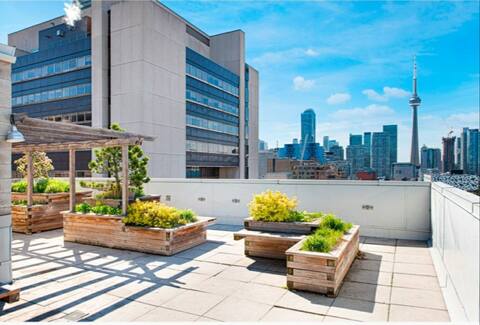 Spacious Room in Downtown Toronto