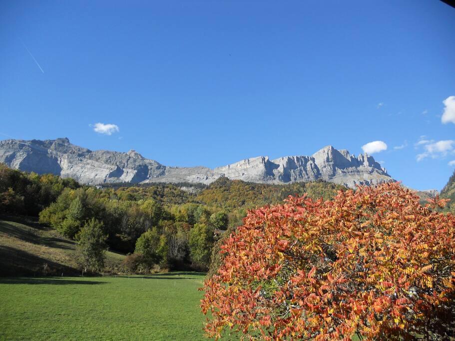 derrière le chalet, la nature en automne