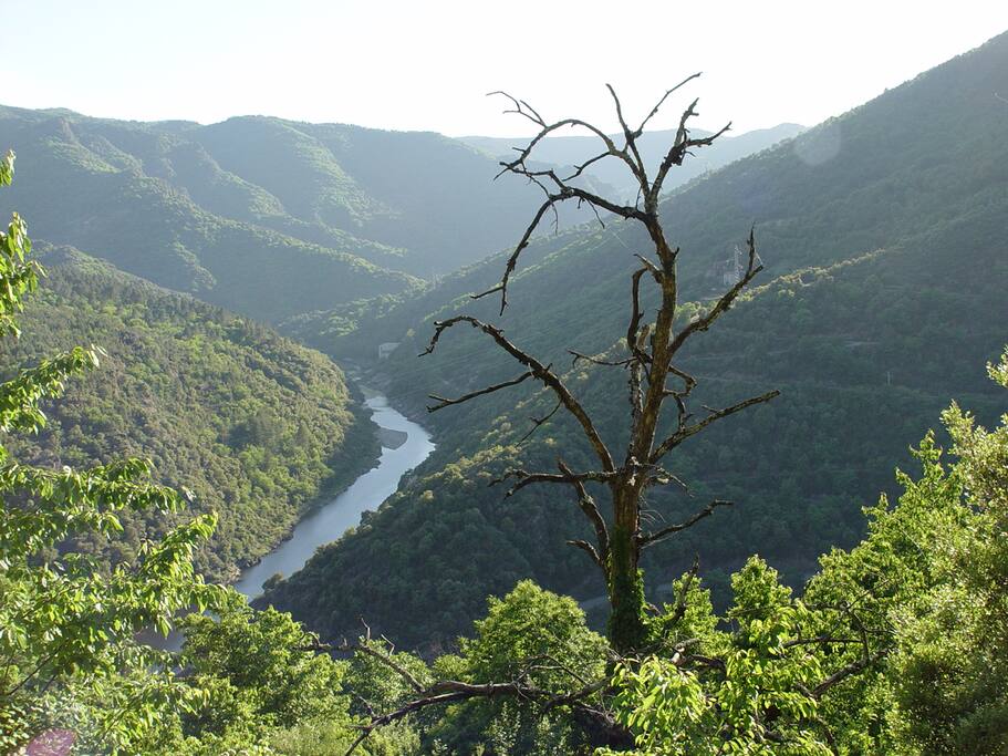 Une vue panoramique sur la vallée du Chassezac