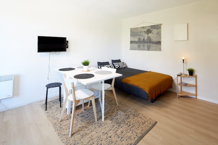 T2 Cosy à 100 M De La Plage – Parking Privé - Seignosse