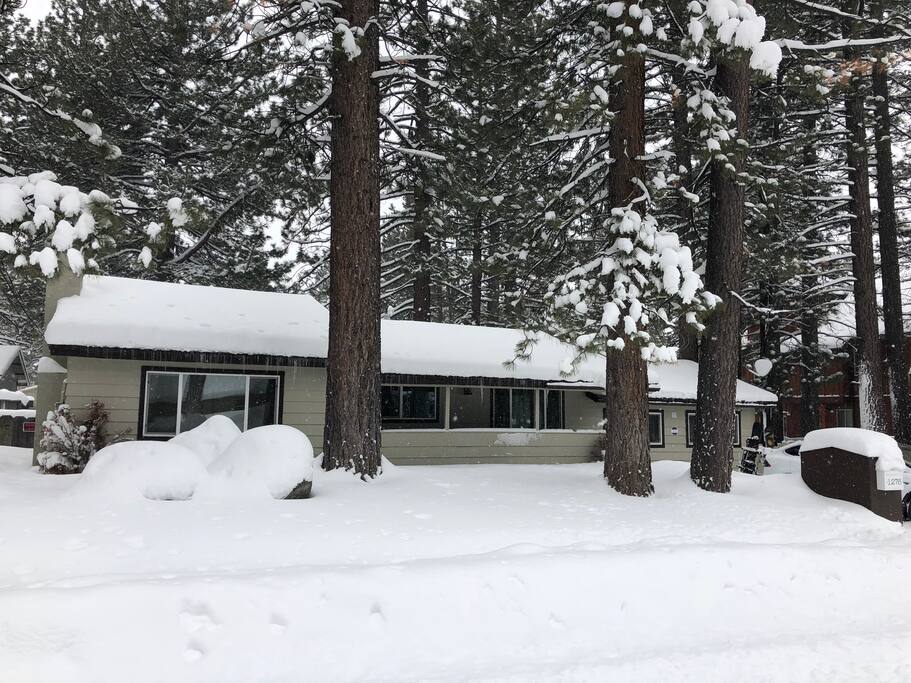 Our modern cabin is nestled between large pine trees with a driveway on the side plowed for 2 cars - photo taken 3/2/18