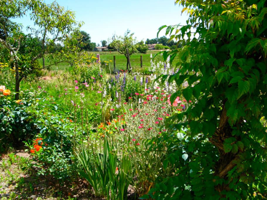 Le jardin d'agrément et potager