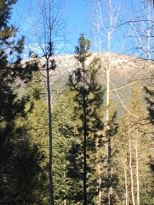 Winter view from deck