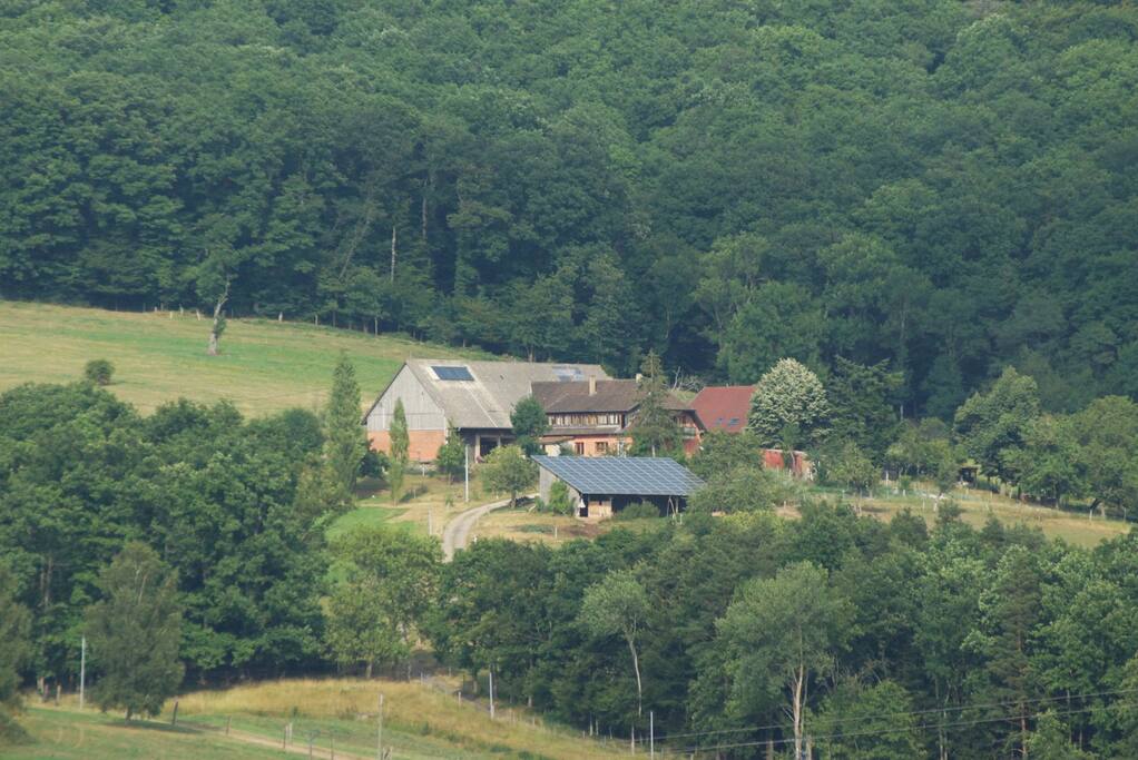 Gîte en pleine nature dans un cadre idyllique - Saint-Pierre-Bois의 콘도에서 살아보기, Grand Est, 프랑스