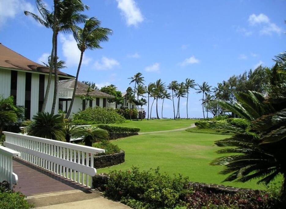 The path that leads to the beach...
