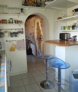 In the center of Nantes' island