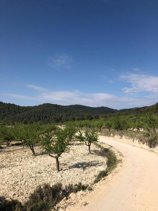 Beautiful roads of Onil