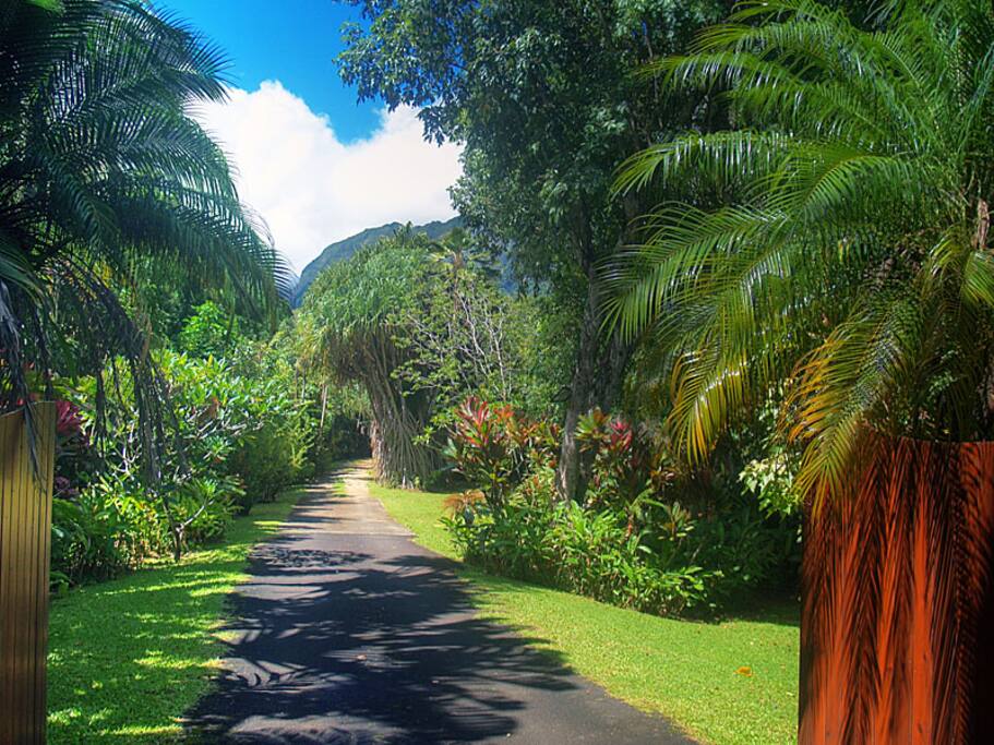 Welcome to River Estate. Aloha!