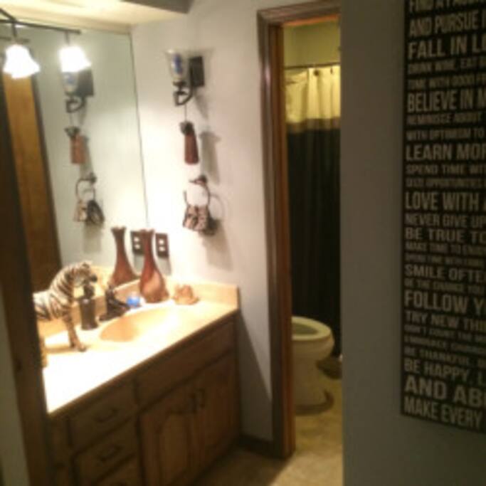 Guest bathroom.