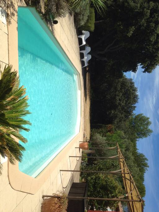 La piscine 11m par 4m