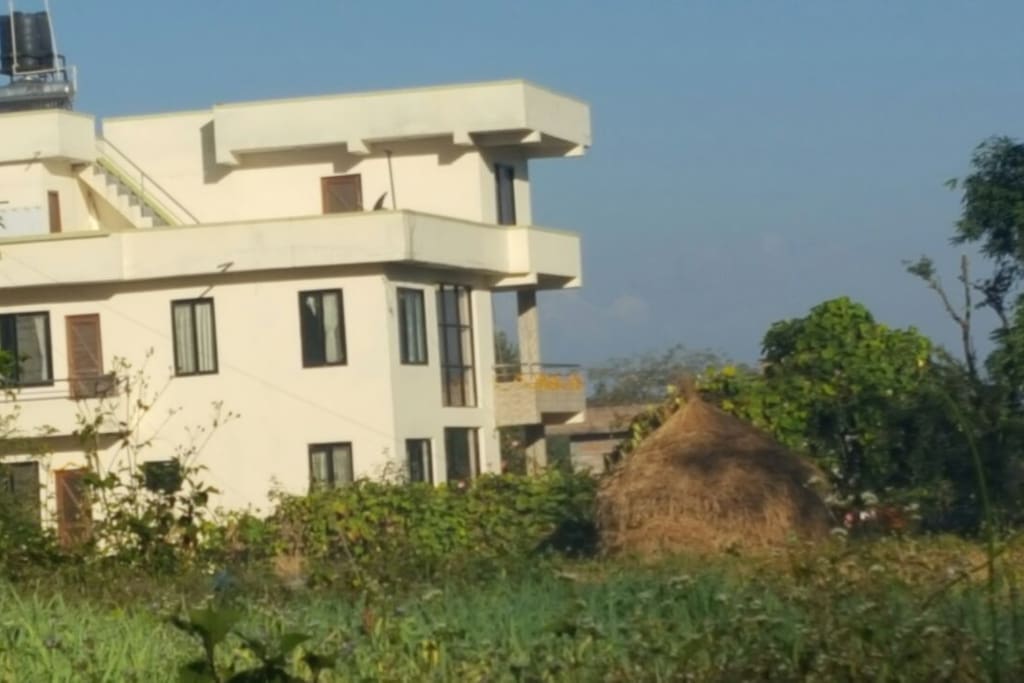 View from East side