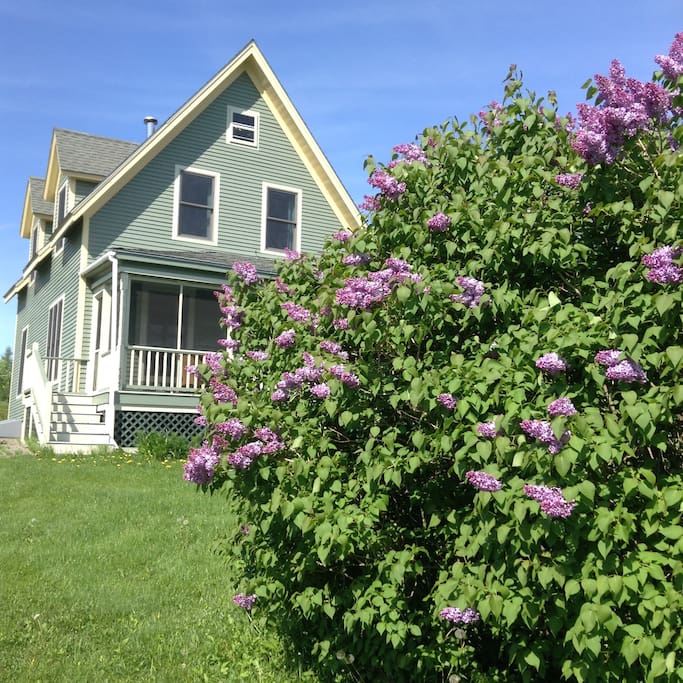 Front of our house in the spring.
