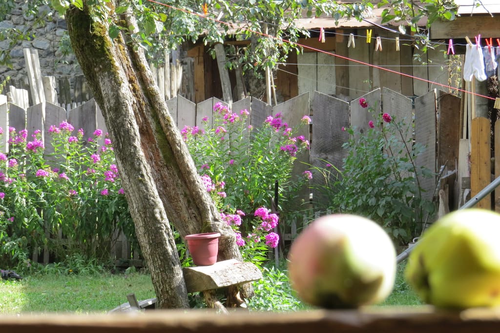 terrace