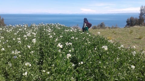 Lugar agradable, vista al.lago