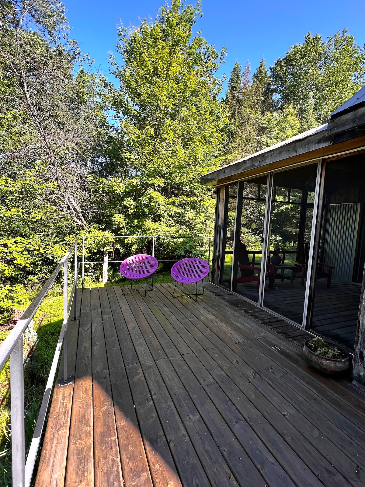 A spacious outdoor deck showcases two bright pink chairs positioned among green foliage. The cabin's sliding glass doors provide an uninterrupted view of nature, enhancing the connection between indoor and outdoor spaces.