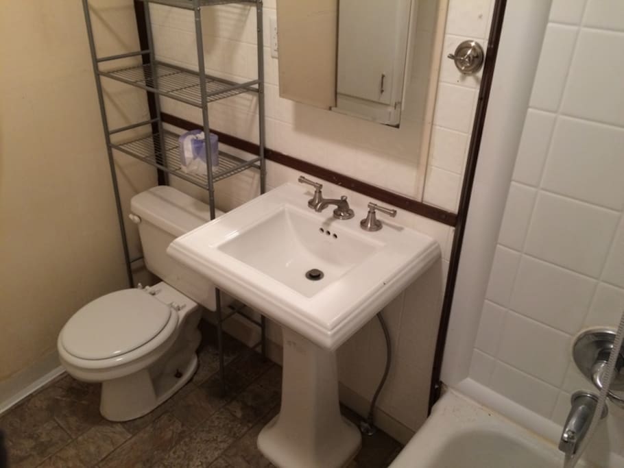 has full tub and hand held shower, free standing magazine rack and tp holder, waste basket, and cabinet.