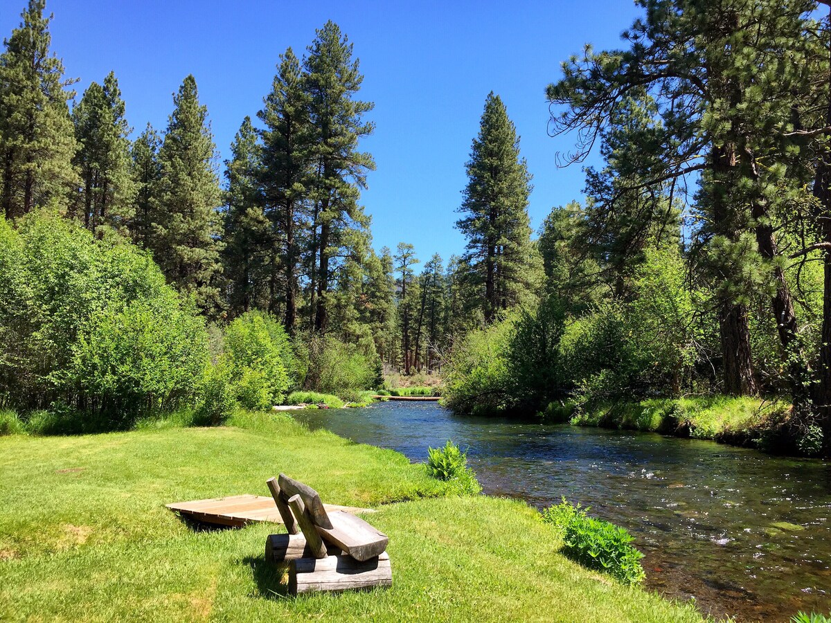 A serene riverside setting is displayed, featuring a clear flowing river bordered by lush greenery and tall conifer trees. A wooden bench invites relaxation, positioned on a grassy area that extends towards the water, creating a peaceful atmosphere for outdoor enjoyment.