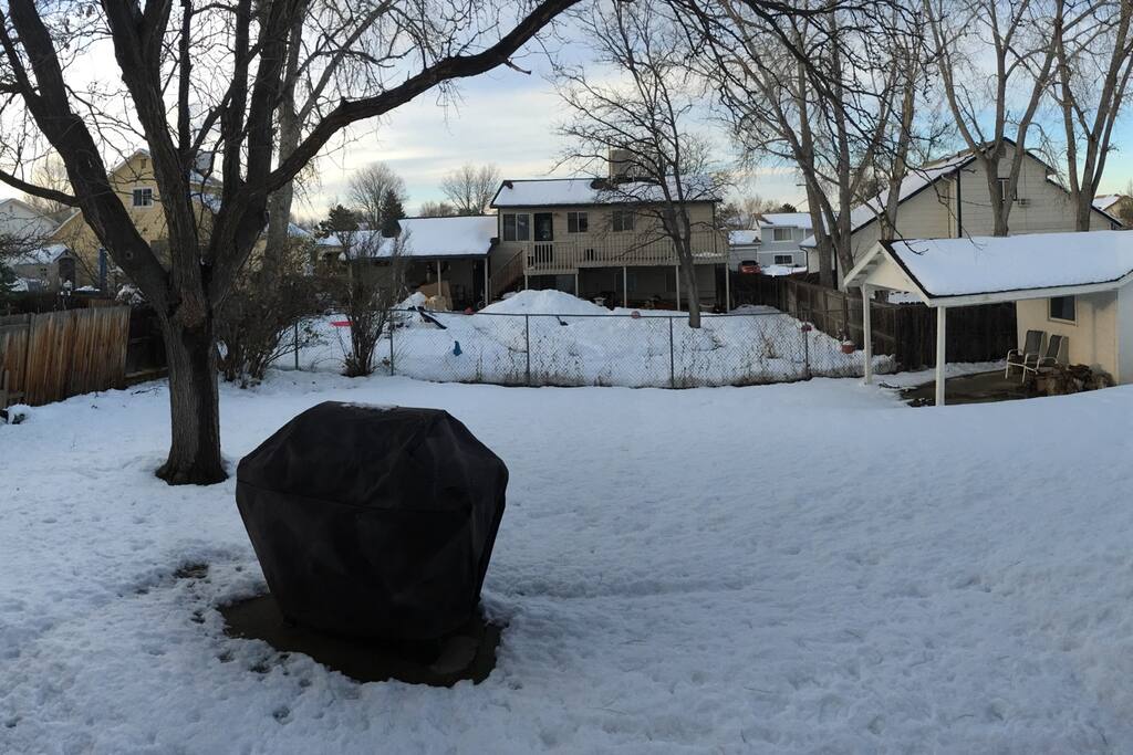 A snowy backyard (there is grass underneath). The yard is fenced with a gate that locks.